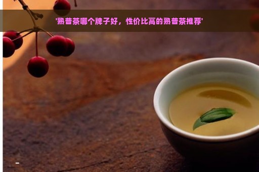 '熟普茶哪个牌子好，性价比高的熟普茶推荐'