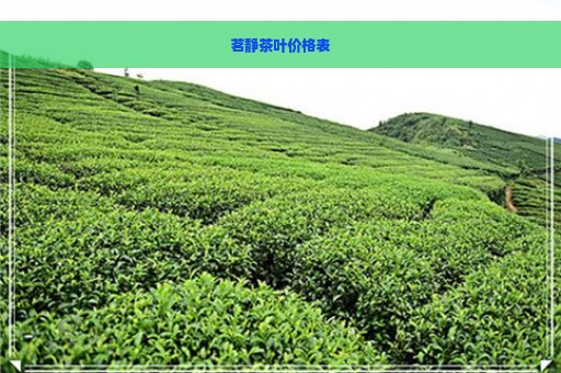 茗静茶叶价格表