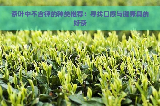 茶叶中不含钾的种类推荐：寻找口感与健兼具的好茶