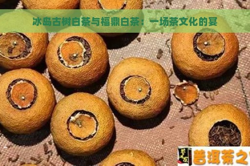 冰岛古树白茶与福鼎白茶：一场茶文化的宴