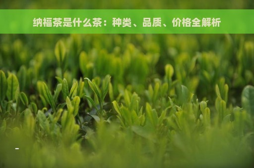 纳福茶是什么茶：种类、品质、价格全解析