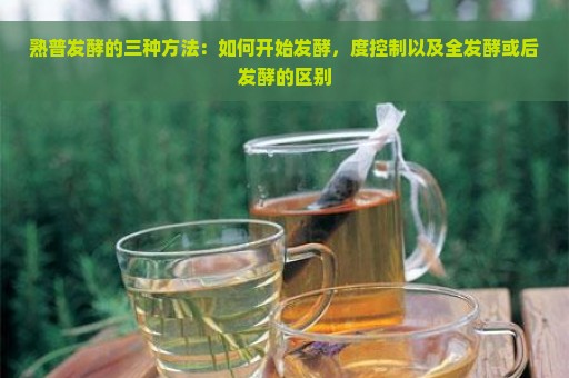 熟普发酵的三种方法：如何开始发酵，度控制以及全发酵或后发酵的区别