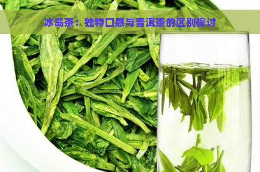 冰岛茶：独特口感与普洱茶的区别探讨