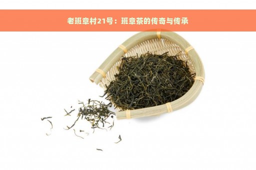 老班章村21号：班章茶的传奇与传承