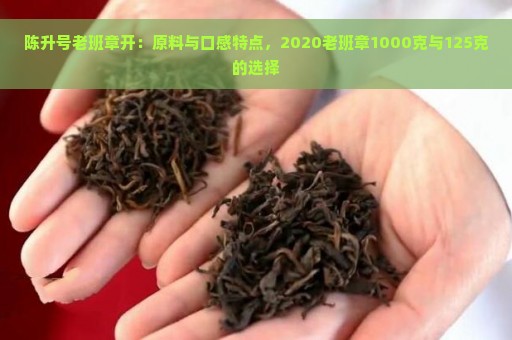 陈升号老班章开：原料与口感特点，2020老班章1000克与125克的选择