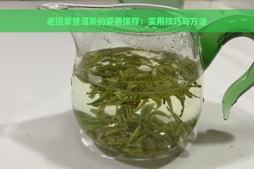 老班章普洱茶的妥善保存：实用技巧与方法