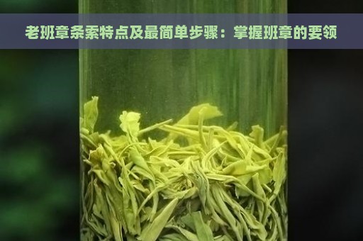 老班章条索特点及最简单步骤：掌握班章的要领