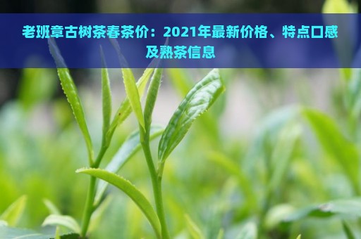 老班章古树茶春茶价：2021年最新价格、特点口感及熟茶信息