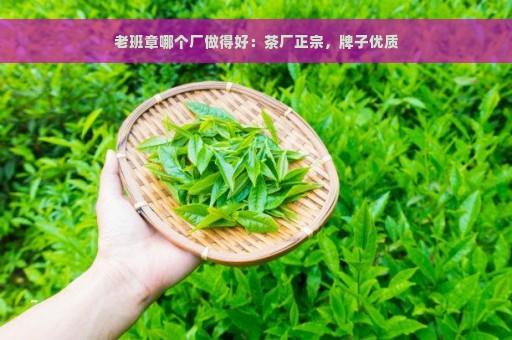 老班章哪个厂做得好：茶厂正宗，牌子优质