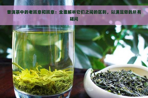 普洱茶中的老班章和班章：全面解析它们之间的区别，以满足您的所有疑问