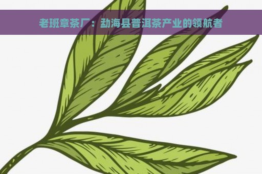 老班章茶厂：勐海县普洱茶产业的领航者