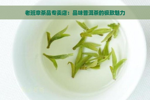 老班章茶品专卖店：品味普洱茶的极致魅力