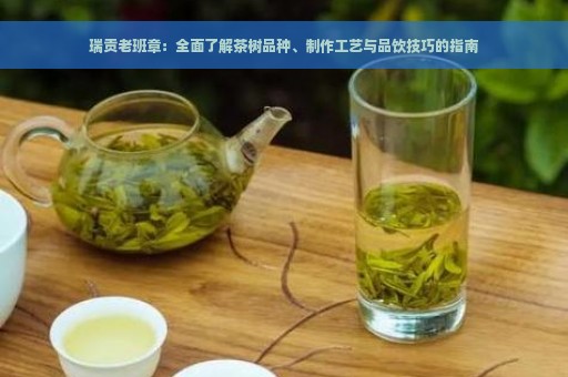 瑞贡老班章：全面了解茶树品种、制作工艺与品饮技巧的指南