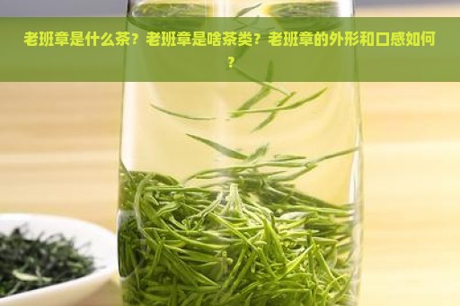 老班章是什么茶？老班章是啥茶类？老班章的外形和口感如何？