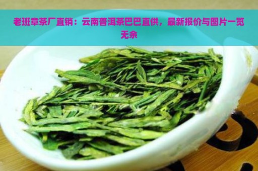 老班章茶厂直销：云南普洱茶巴巴直供，最新报价与图片一览无余