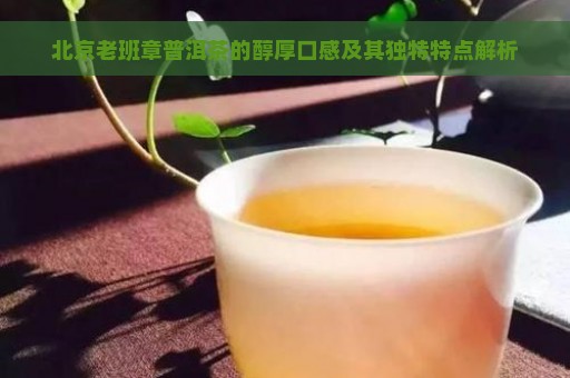 北京老班章普洱茶的醇厚口感及其独特特点解析