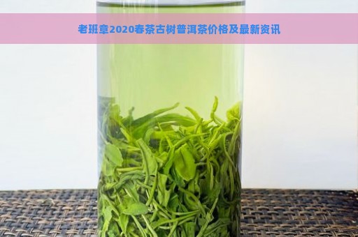 老班章2020春茶古树普洱茶价格及最新资讯