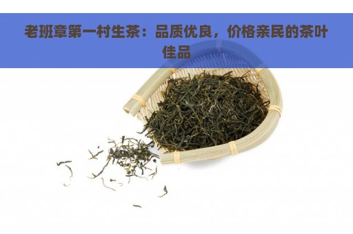 老班章第一村生茶：品质优良，价格亲民的茶叶佳品