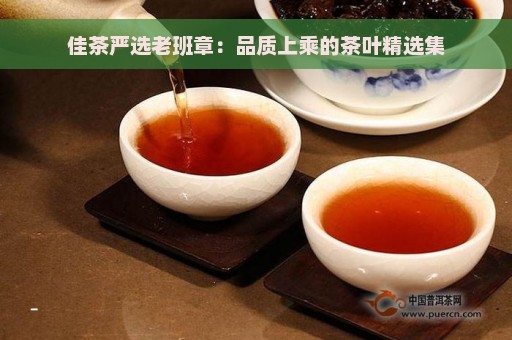 佳茶严选老班章：品质上乘的茶叶精选集