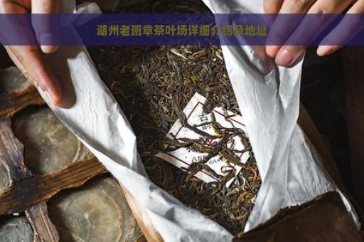 湖州老班章茶叶场详细介绍及地址