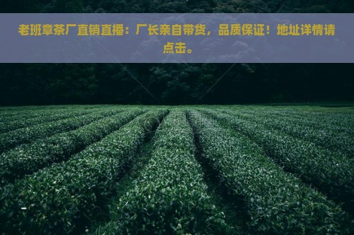 老班章茶厂直销直播：厂长亲自带货，品质保证！地址详情请点击。