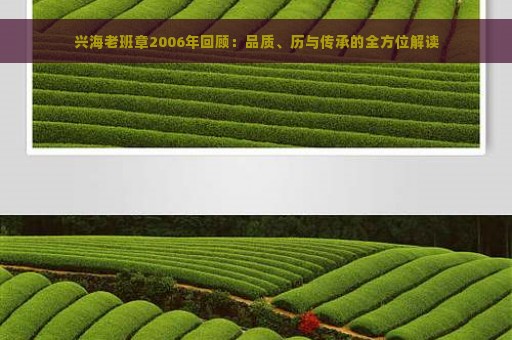 兴海老班章2006年回顾：品质、历与传承的全方位解读