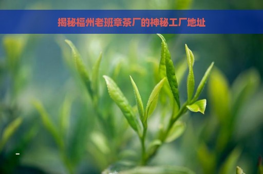 揭秘福州老班章茶厂的神秘工厂地址