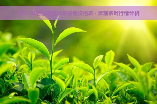 2021年老班章普洱茶最新价格表 - 云南茶叶行情分析