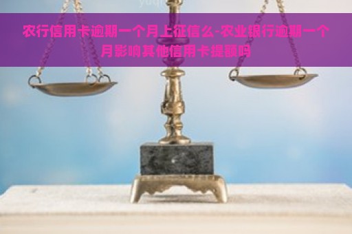 农行信用卡逾期一个月上征信么-农业银行逾期一个月影响其他信用卡提额吗