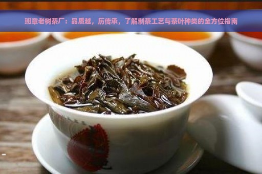 班章老树茶厂：品质越，历传承，了解制茶工艺与茶叶种类的全方位指南