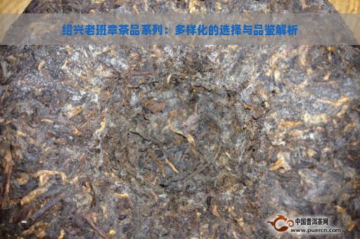 绍兴老班章茶品系列：多样化的选择与品鉴解析