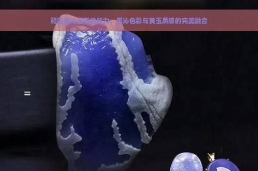 和田黄沁玉石的魅力：黑沁色彩与黄玉质感的完美融合