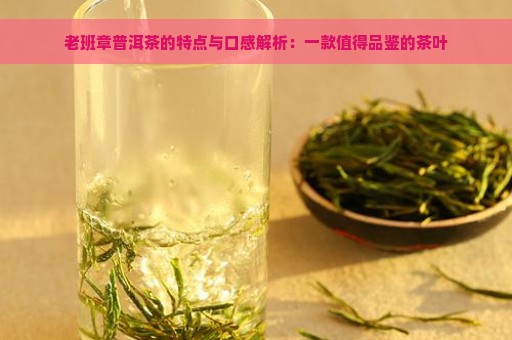 老班章普洱茶的特点与口感解析：一款值得品鉴的茶叶