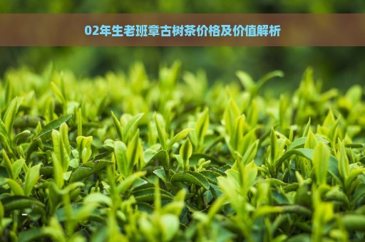 02年生老班章古树茶价格及价值解析