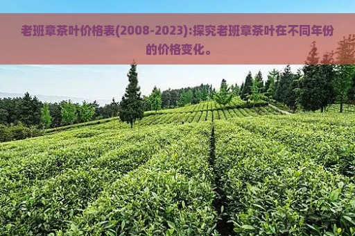 老班章茶叶价格表(2008-2023):探究老班章茶叶在不同年份的价格变化。