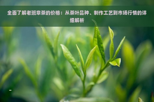 全面了解老班章茶的价格：从茶叶品种、制作工艺到市场行情的详细解析