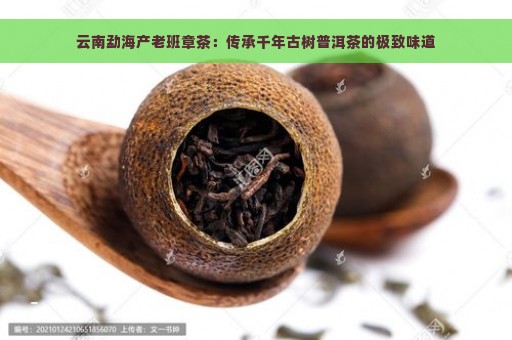 云南勐海产老班章茶：传承千年古树普洱茶的极致味道