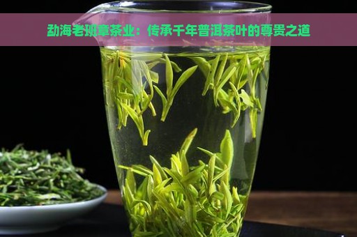 勐海老班章茶业：传承千年普洱茶叶的尊贵之道