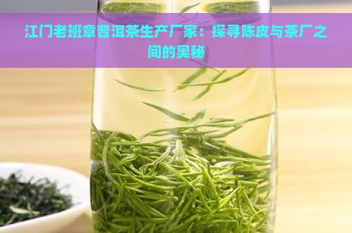 江门老班章普洱茶生产厂家：探寻陈皮与茶厂之间的奥秘