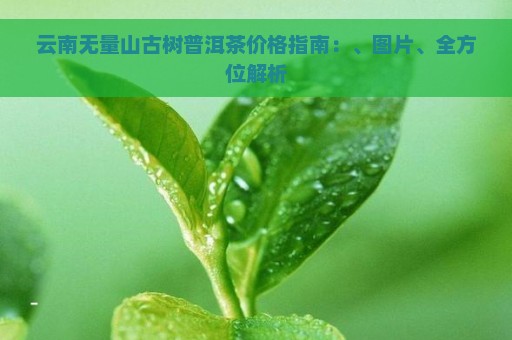 云南无量山古树普洱茶价格指南：、图片、全方位解析