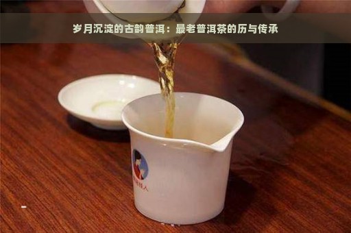 岁月沉淀的古韵普洱：最老普洱茶的历与传承