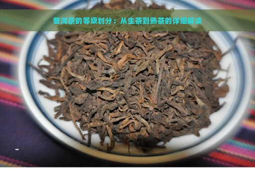 普洱茶的等级划分：从生茶到熟茶的详细解读