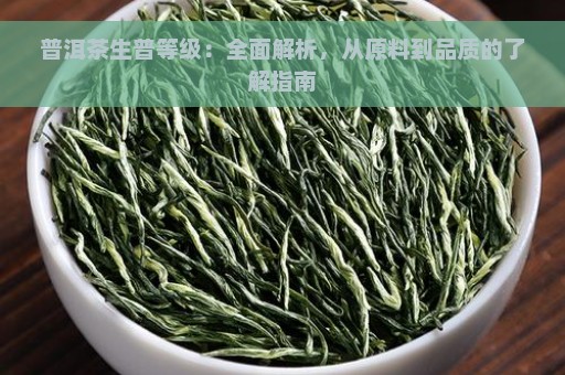 普洱茶生普等级：全面解析，从原料到品质的了解指南