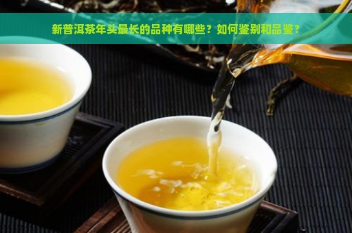 新普洱茶年头最长的品种有哪些？如何鉴别和品鉴？