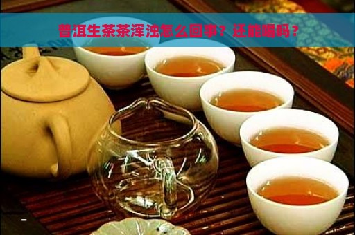 普洱生茶茶浑浊怎么回事？还能喝吗？