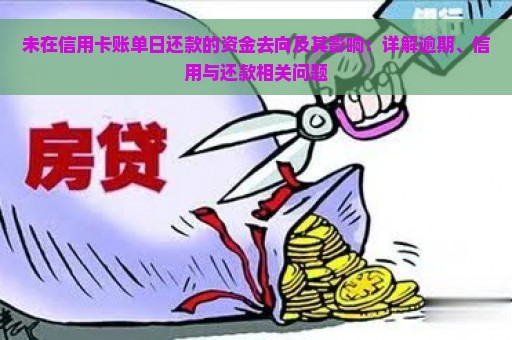 未在信用卡账单日还款的资金去向及其影响：详解逾期、信用与还款相关问题