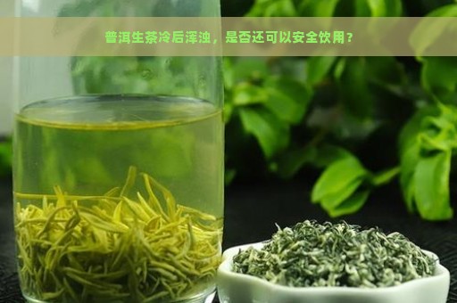 普洱生茶冷后浑浊，是否还可以安全饮用？