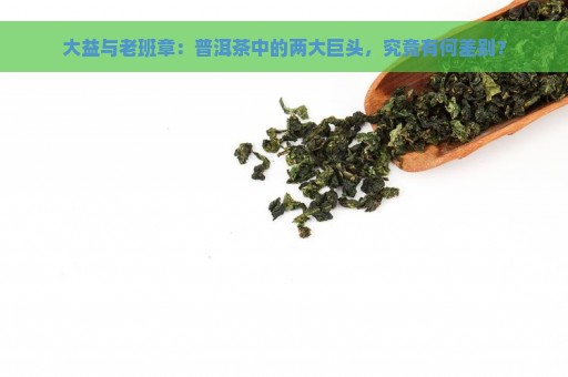 大益与老班章：普洱茶中的两大巨头，究竟有何差别？