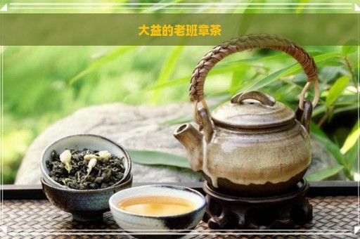 大益的老班章茶