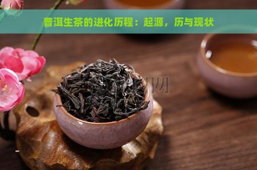 普洱生茶的进化历程：起源，历与现状